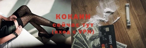 прущие грибы Анива