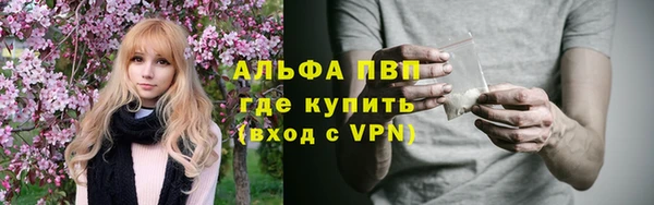 дживик Абаза