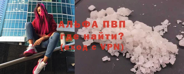 стафф Алексин